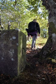 France, Vosges (88), Parc naturel régional des ballons des Vosges, Saint-Maurice-sur-Moselle, chaume de Gazon Rouge, ancienne borne frontière franco-allemande dont on peut voir le F