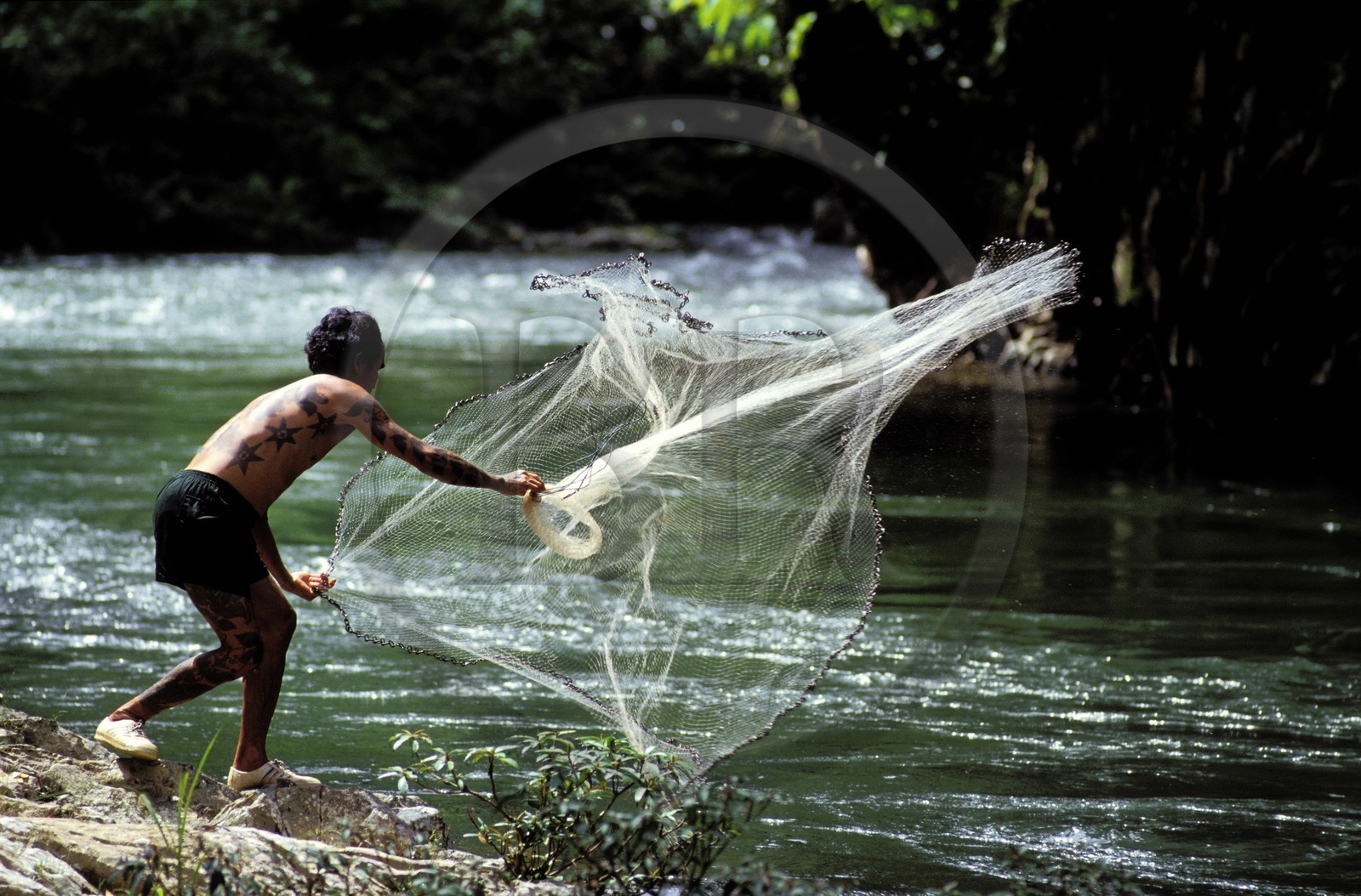 Malaisie, île de Bornéo, Sarawak, un Iban pêche au filet dans la rivière Engkari