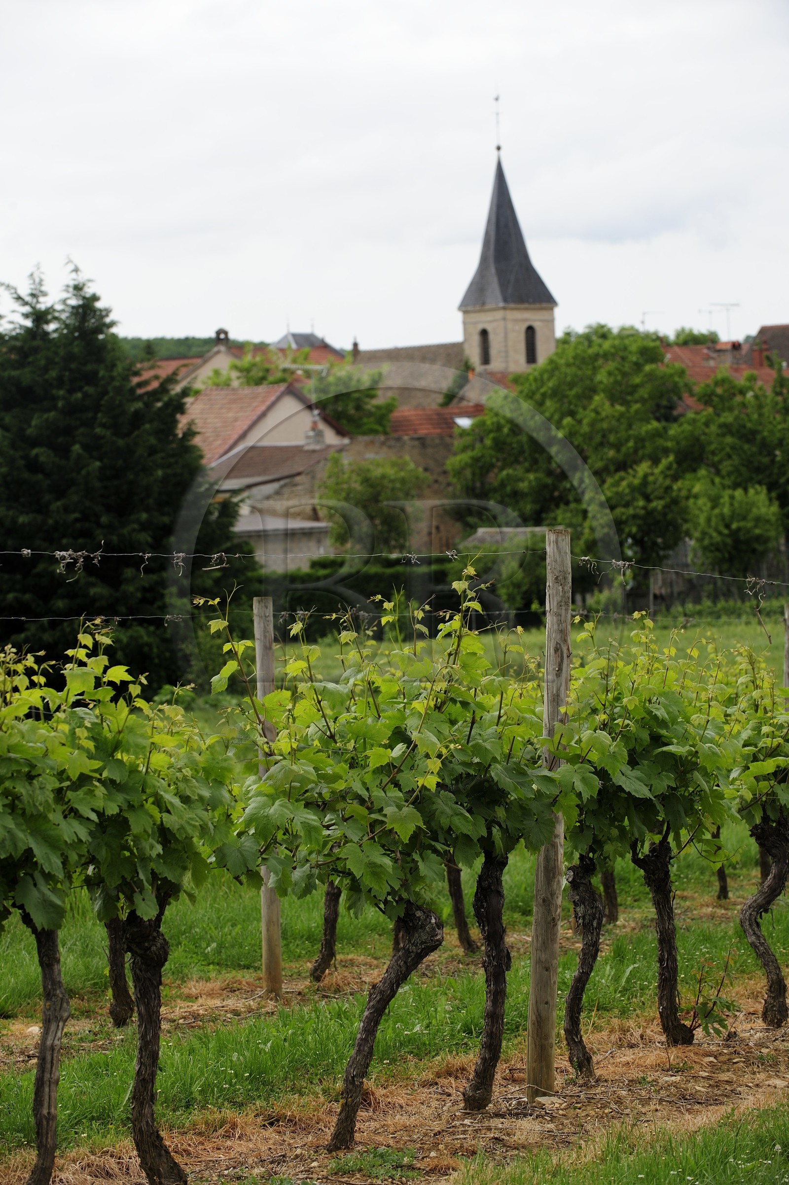 France, Côte d'Or (21), Magny-les-Villiers