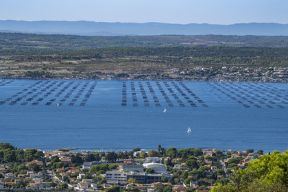 France, Herault, Sete, the Etang de Thau seen from Mont Saint-Clair