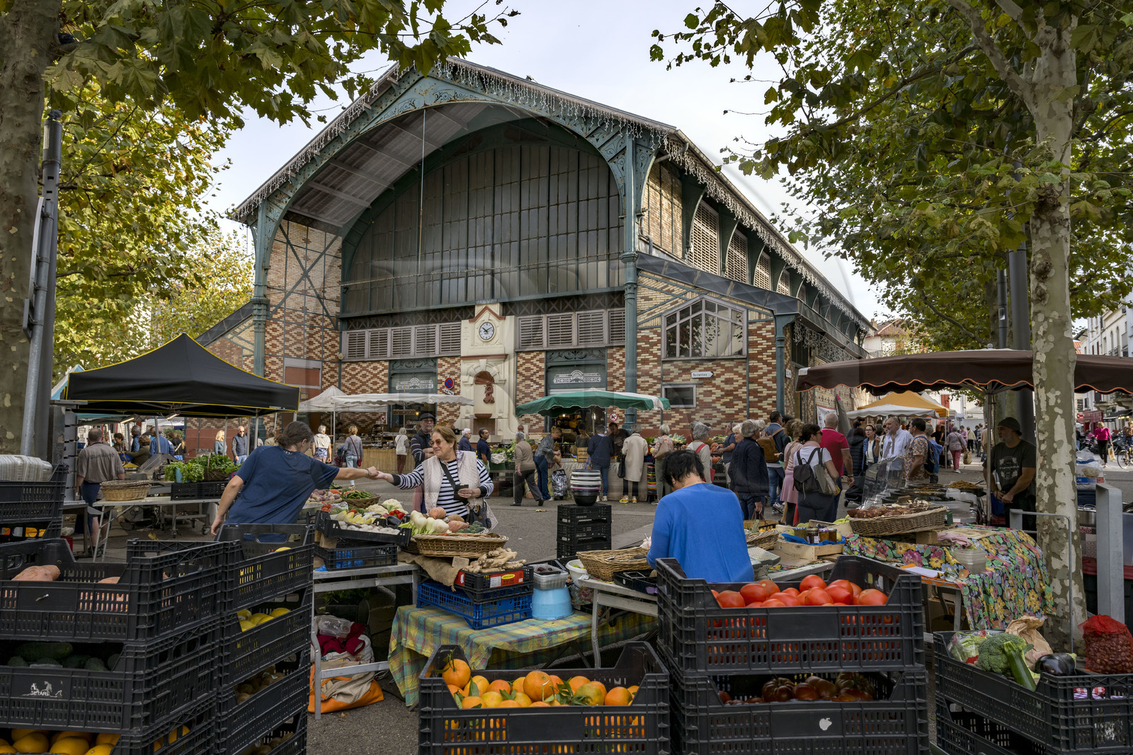 France, Pyrenees Atlantiques, Basque Country, Saint Jean de Luz, stall in front of the covered market