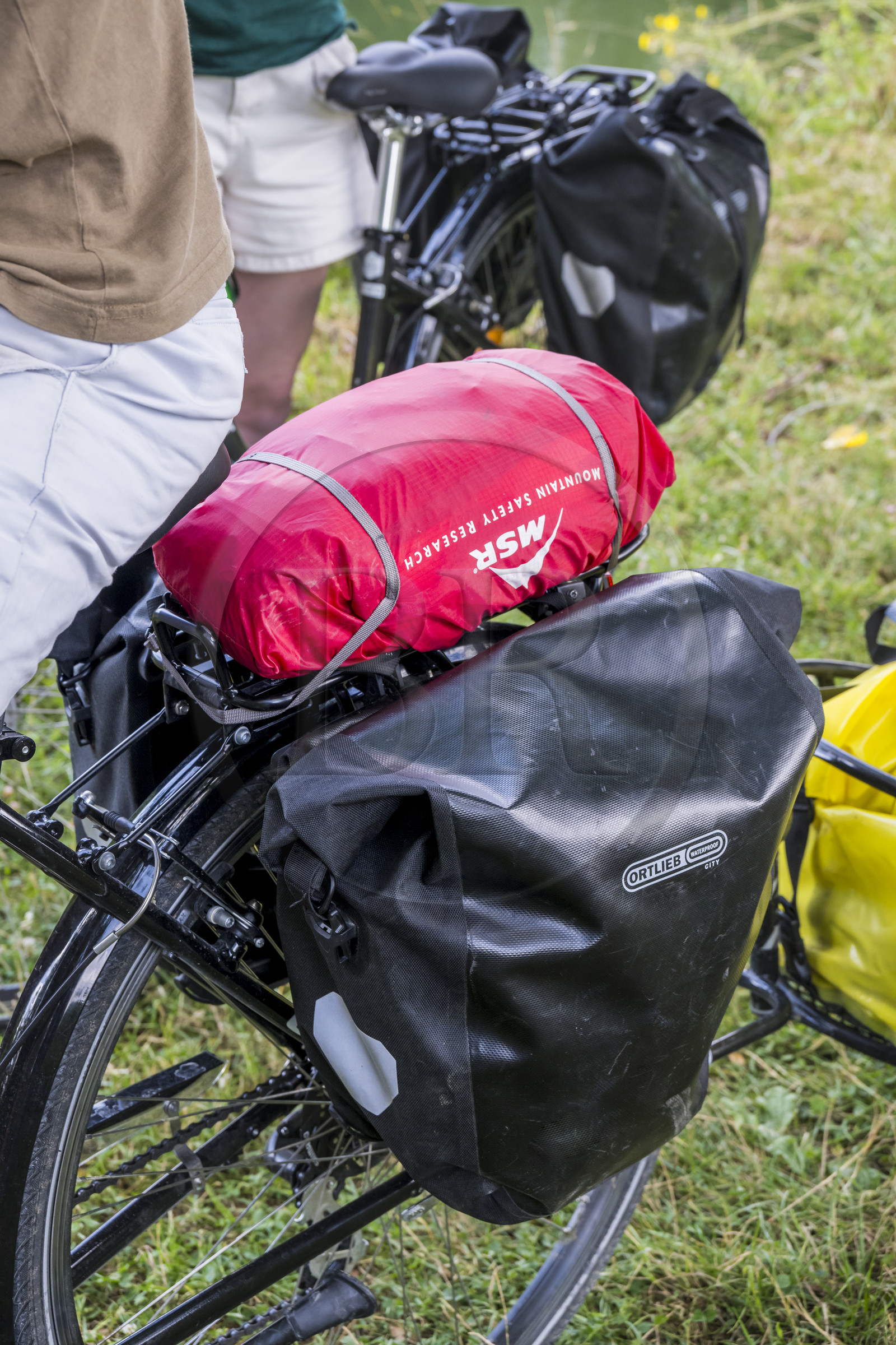 France, Deux-Sèvres (79), le Marais Poitevin, la Venise Verte, bicyclette concue pour la randonnée (détail)