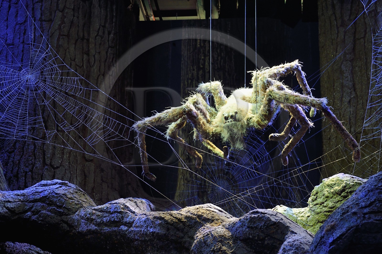 Royaume-Uni, Hertfordshire, Leavesden, Leavesden Film Studios, Harry Potter Studio Tour London, les coulisses du tournage des 8 films de Harry Potter, les araignées géantes Aragog dans la mythique Forêt Interdite