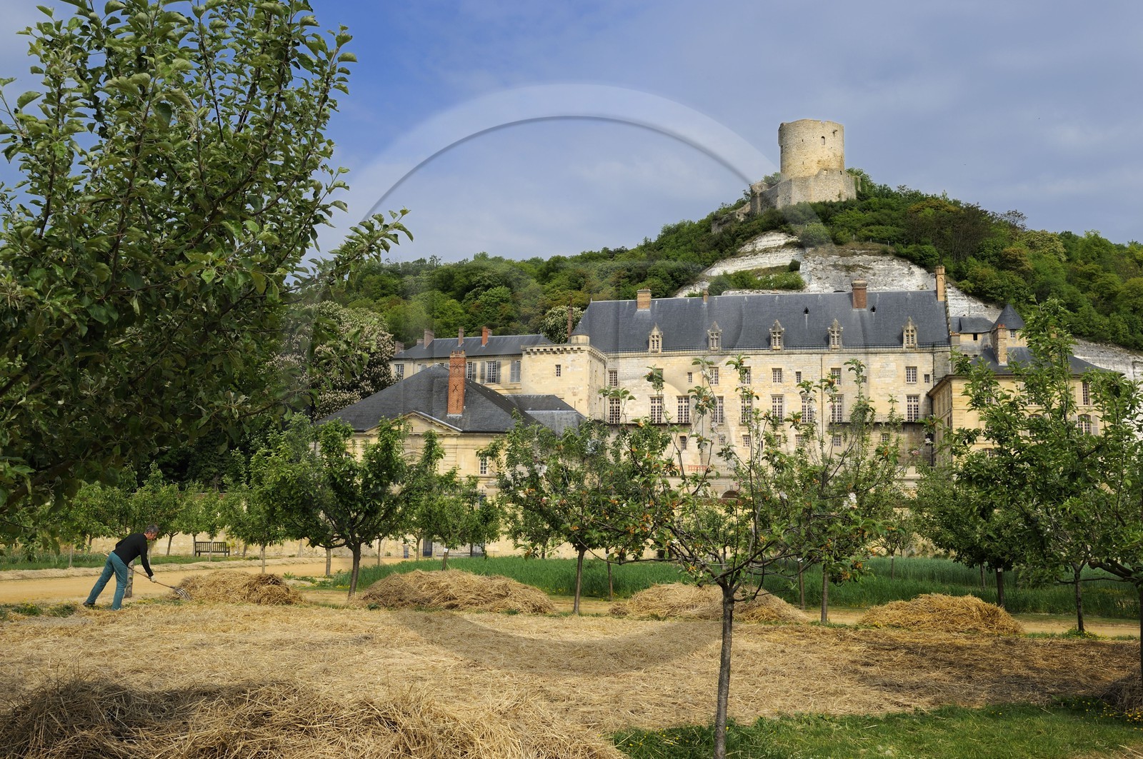 France, Val d'Oise, French Vexin Natural Park, la Roche-Guyon village, labelled Les Plus Beaux Villages de France (The Most Beautiful Villages of France), the castle