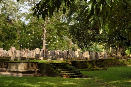 Sri Lanka, province du Centre-Nord, site d'Anuradhapura classé Patrimoine Mondial de l'UNESCO, capitale du Sri Lanka au IIIe siècle avant JC, ruine de la salle capitulaire d'un temple au sud du dagoba de Jetavanarama