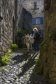France, Haute-Loire (43), Pradelles, labellisé Les Plus Beaux Villages de France, randonnée avec un âne sur le chemin de Stevenson (GR 70) dans une ruelle de la vieille ville
