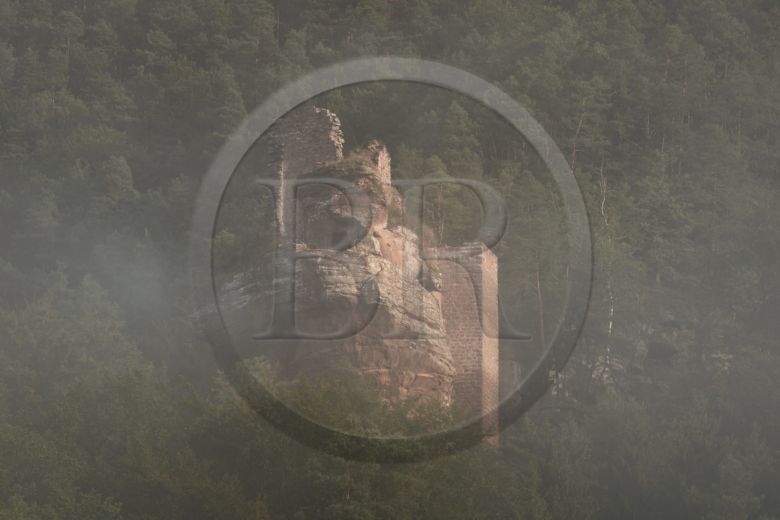 France, Bas Rhin, Northern Vosges Regional Natural Park, Obersteinbach, Steinbach national forest, Klein Arnsberg Castle ruins in the mist