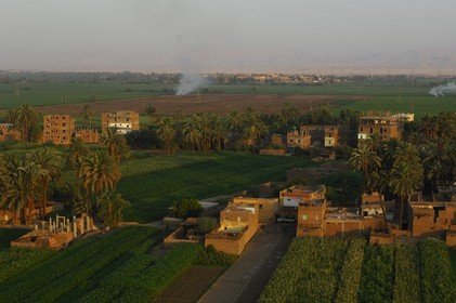 Egypte, Haute Egypte, vallée du Nil, Louxor, champ sur la rive ouest (vue aérienne)
