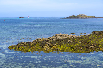 France, Finistère (29), Roscoff, ilots découverts à marée basse