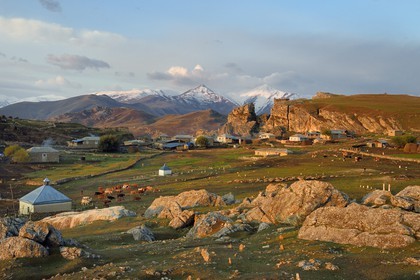 Azerbaijan, Quba (Guba) region, Greater Caucasus mountain range, village of Giriz at dawn, departure of cows and sheep for the meadows
