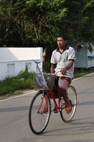 Sri Lanka, Province du Sud, Matara (district), Weligama, les acheteurs de poissons sortent du port de pêche de Mirissa