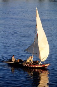 Egypte, Assouan, felouques sur le Nil