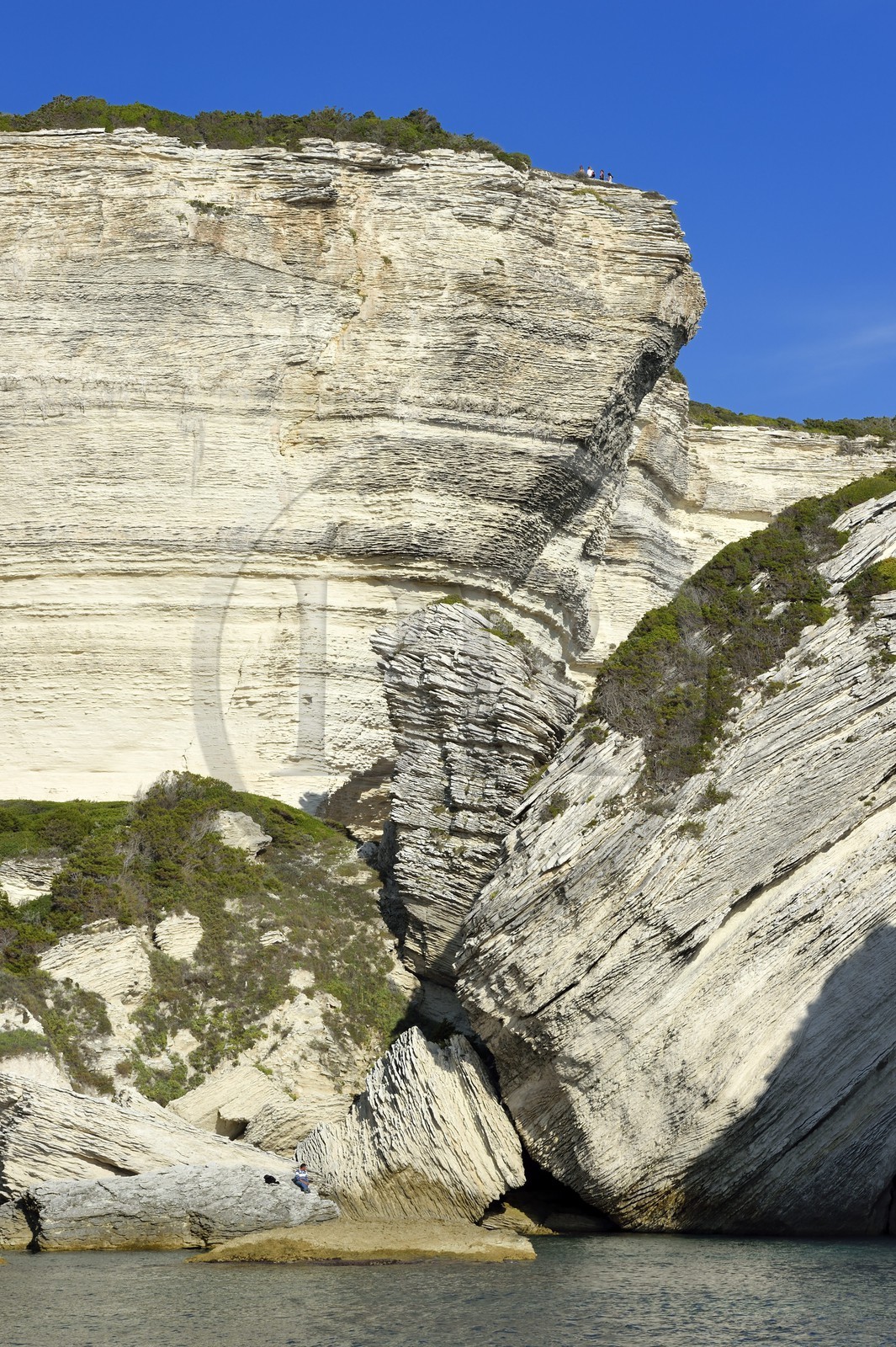 France, Corse du Sud, Bonifacio, the more than 60 meters high limestone cliffs