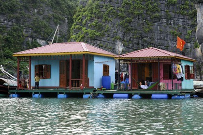 Vietnam, province de Quang Ninh, la Baie d'Halong classée Patrimoine Mondial de l'UNESCO, village flottant de pêcheurs de Vong Vieng