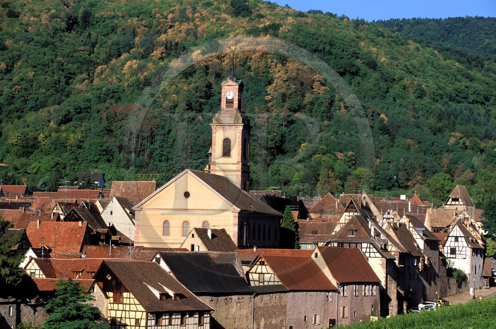 France, Haut Rhin, the Alsace Wine Route, Riquewihr village, labelled Les Plus Beaux Villages de France (The Most Beautiful Villages of France)