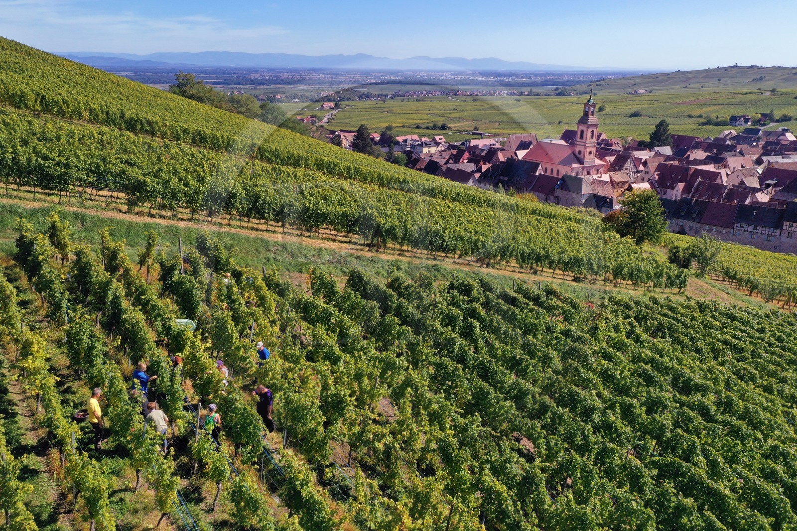 France, Haut-Rhin (68), Route des vins d'Alsace, Riquewihr, labellis
