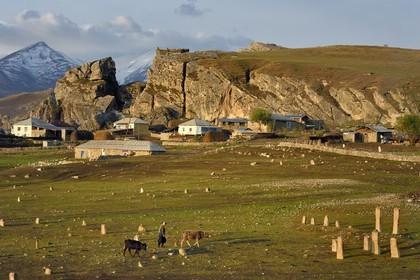 Azerbaijan, Quba (Guba) region, Greater Caucasus mountain range, village of Giriz at dawn, woman bringing her cows to meadows