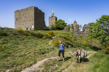 France, Lozère (48), Luc, randonnée avec un âne sur le chemin de Stevenson (GR 70) devant les ruines du chateau de Luc