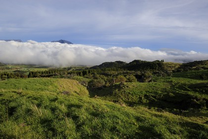 France, Ile de la Reunion, la Plaine des Cafres au pied des pentes du volcan du Piton de la Fournaise et l'ancien volcan du Piton des Neiges en arrière plan