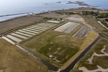 France, Charente-Maritime (17), Port-des-Barques, Ile Madame, la Ferme Aquacole de l'Ile Madame,