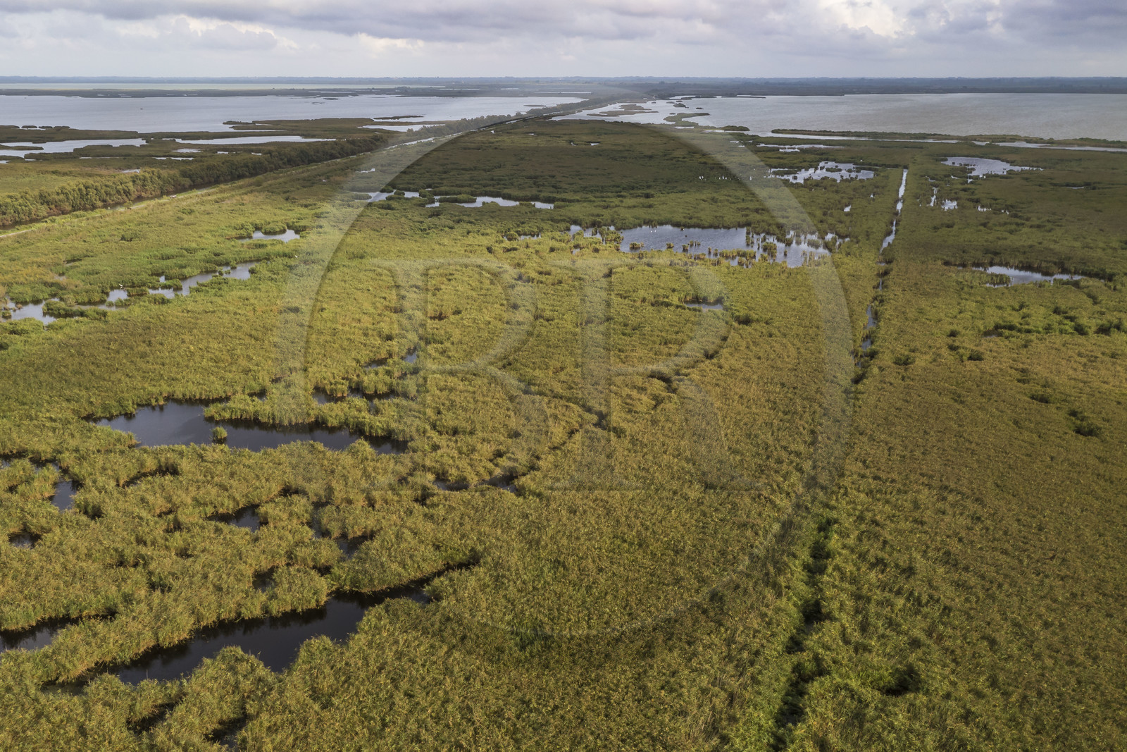 France, Gard (30), les marais de la Petite Camargue à Gallician commune de Vauvert (vue aérienne)
