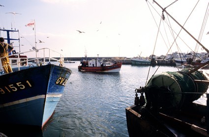 France, Finistère (29), Lesconil, chalutiers au retour de pêche