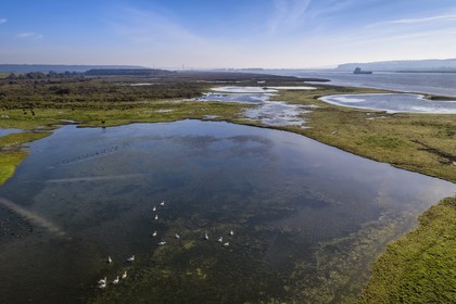 France, Seine-Maritime (76), Réserve Naturelle de l'estuaire de la Seine, cargo descendant la Seine depuis Rouen, le pont de Tancarville en arrière plan (vue aérienne)