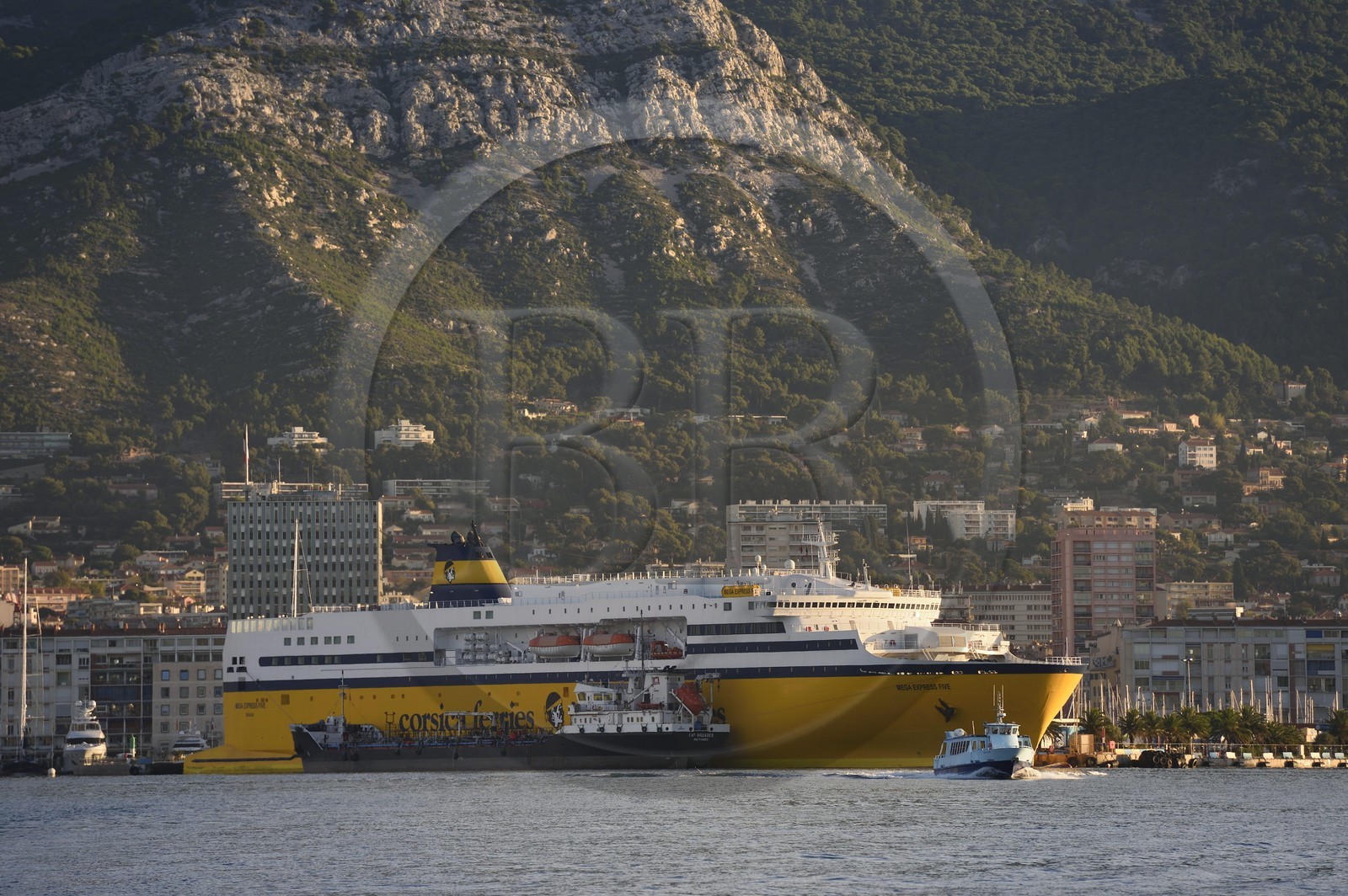 France, Var (83), Toulon, ferry dans le Port Marchand