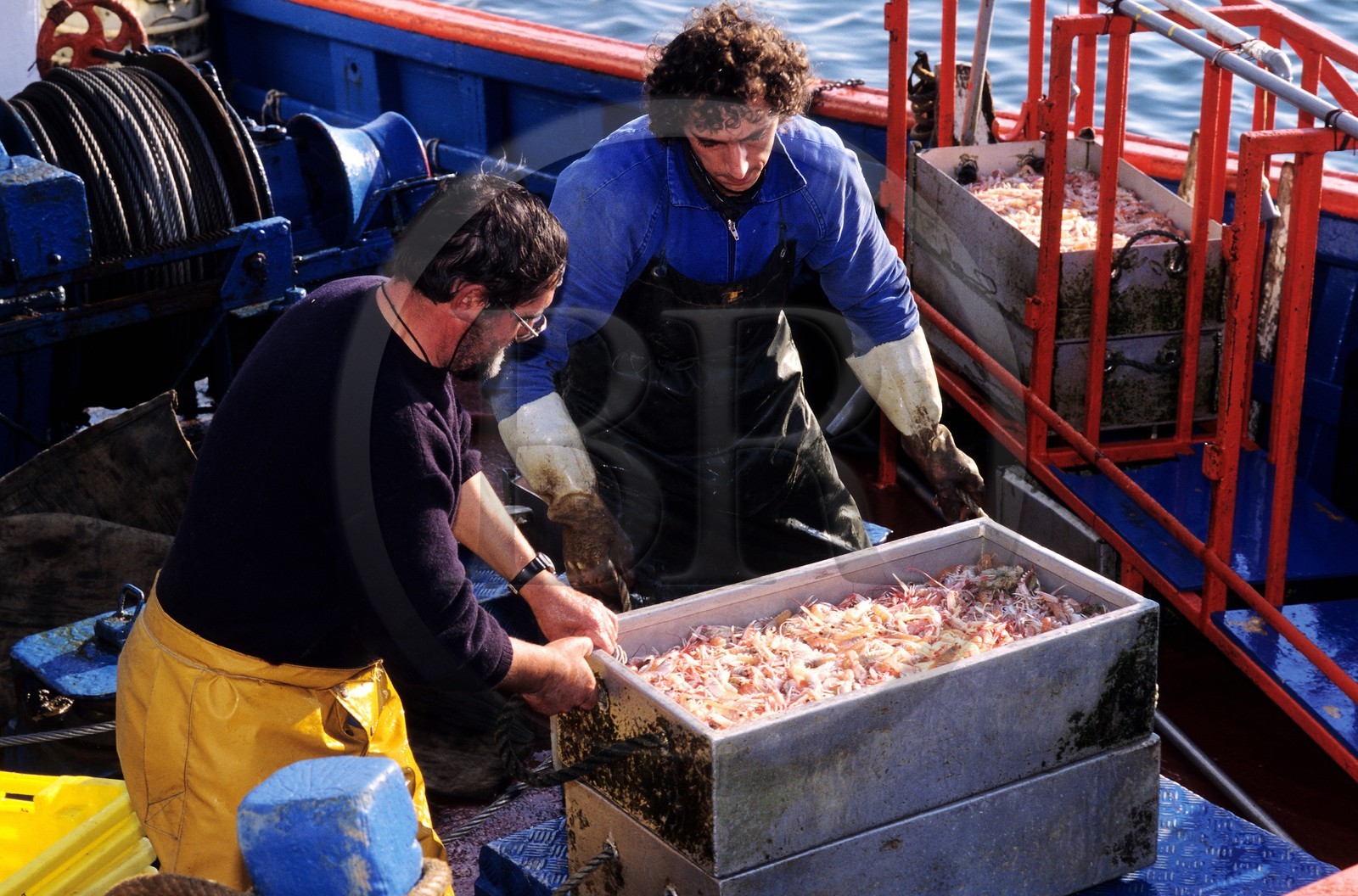 France, Finistère (29), Lesconil, déchargement de poisson