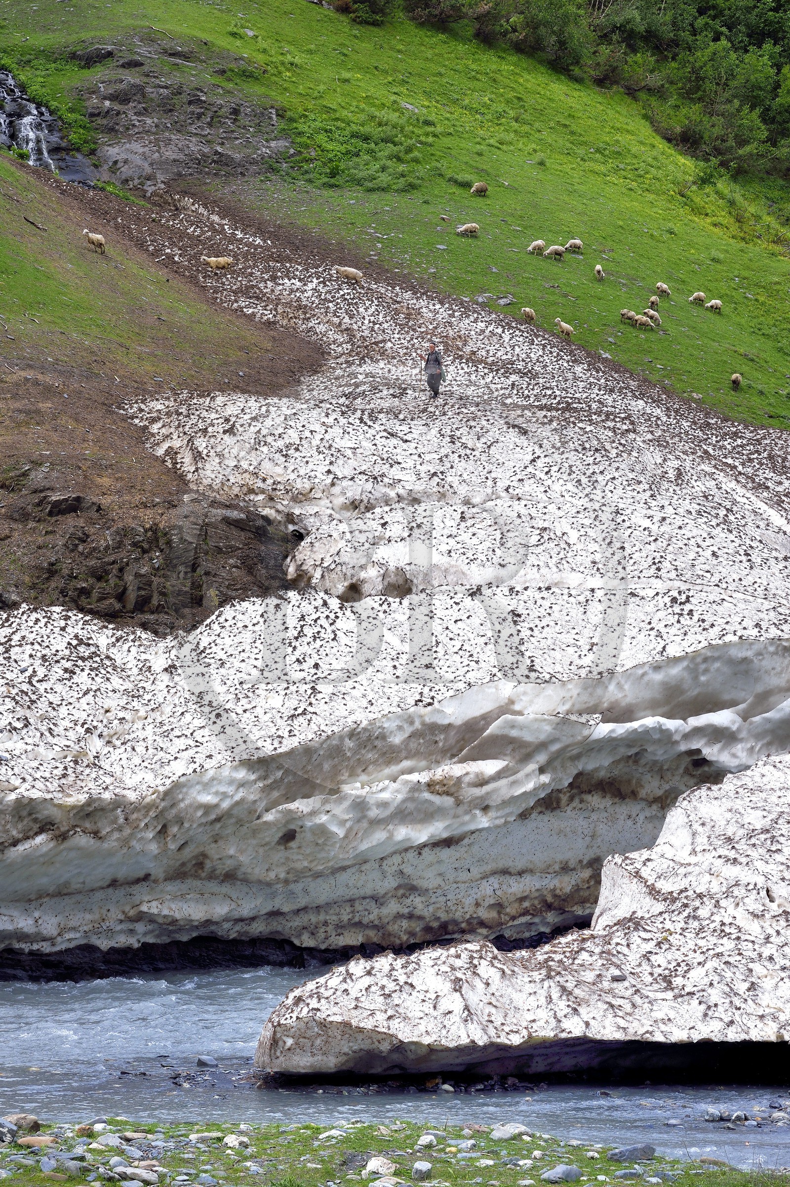 Géorgie, Kakheti, Parc national de Touchétie, vallée de la rivière Alazani dans les montagnes de Pirikiti, berger et son troupeau de moutons