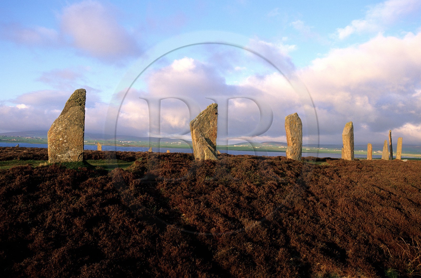 United Kingdom, Scotland, Orkney Islands, Mainland, beside the Loch of Stenness, standing stones from the Ring of Brogar, listed as World Heritage by UNESCO