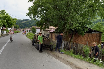 Roumanie, Transylvanie, Valea Viilor (en allemand Wurmloch), déchargement de buches de bois d'un chariot
