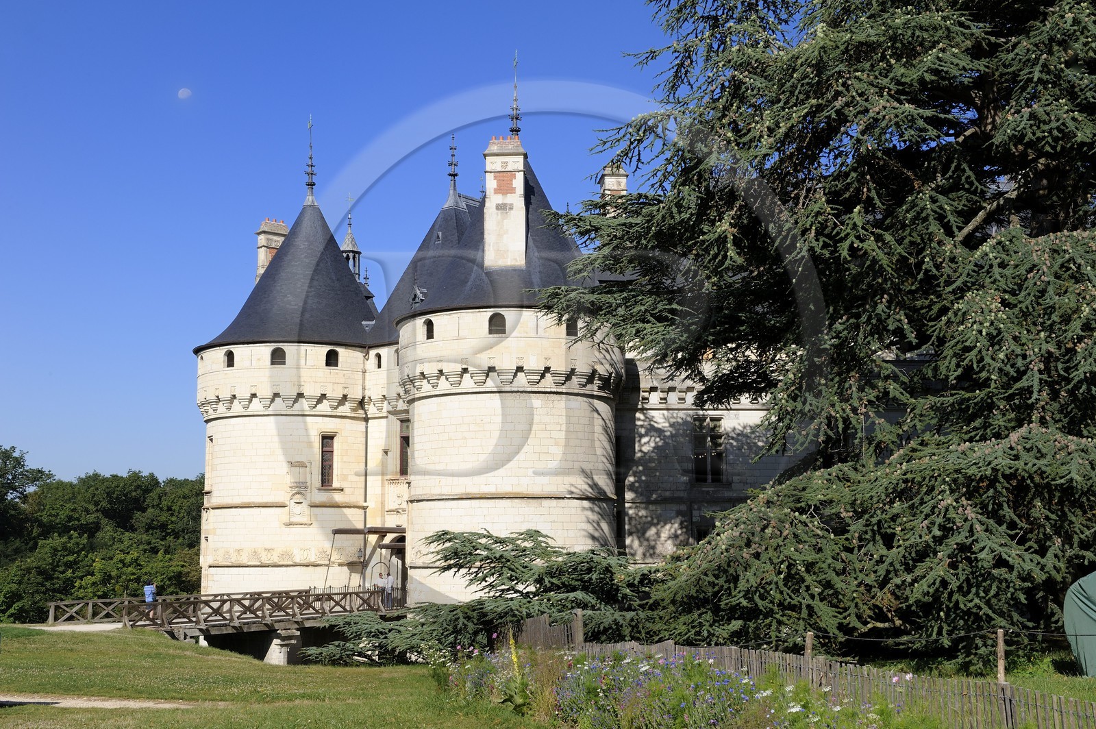 France, Loir et Cher, Loire Valley, listed as World Heritage by UNESCO, Chaumont sur Loire, the castle
