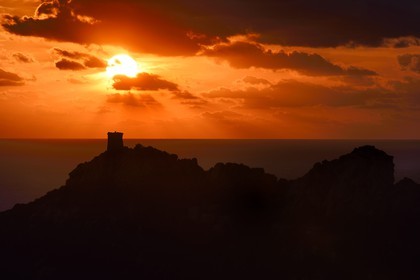 France, Corse-du-Sud (2A), le site naturel de Cala de Roccapina, la tour génoise et le rocher du Lion
