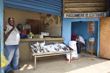 Gabon, Libreville, Port Mole, étal de poisson