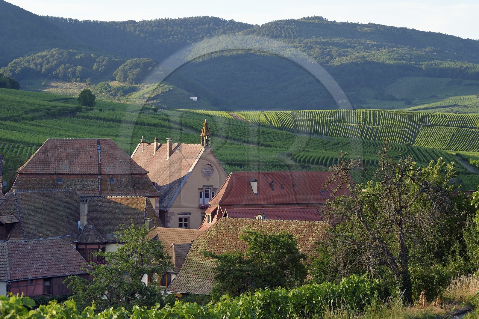 France, Haut-Rhin (68), Route des vins d'Alsace, Hunawihr, labellisé Les Plus Beaux Villages de France
