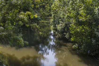 France, Deux-Sèvres, le Marais Poitevin, Green Venice, Le Vanneau-Irleau, one of the countless canals
