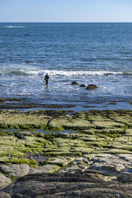 France, Vendée (85), Bretignolles-sur-Mer, pêcheur le long du littoral