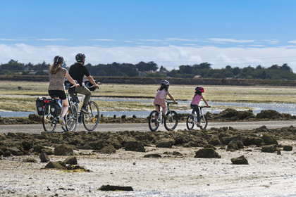 France, Vendée (85), île de Noirmoutier, Barbatre, cyclistes sur le passage du Gois, chaussée submersible qui relie l'île au continent à marrée basse
