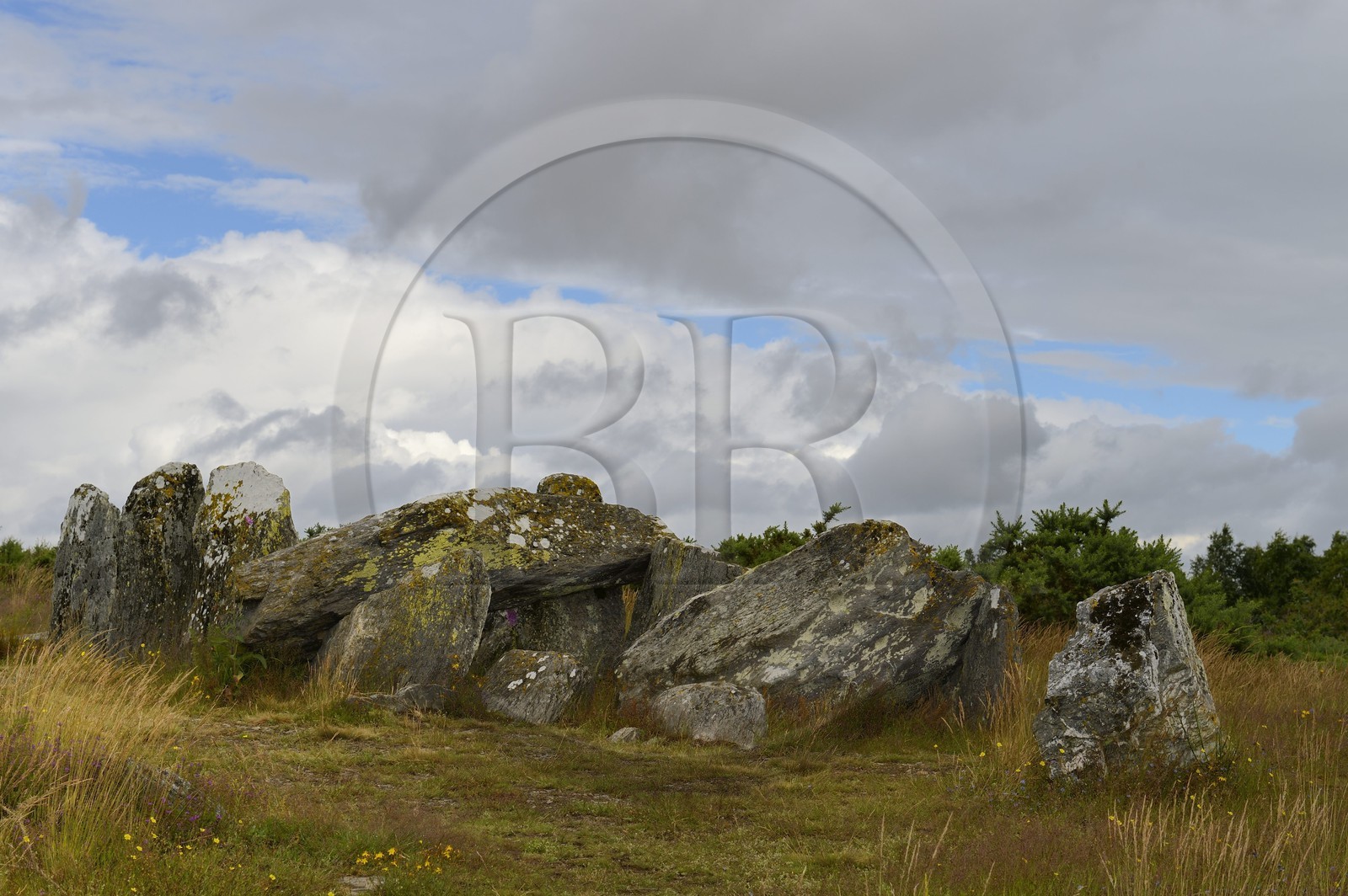 France, Ille-et-Vilaine, Saint-Just, megalithic monuments of the Lande de Cojoux, dolmen, burial with side entrance of Four Sarrazin