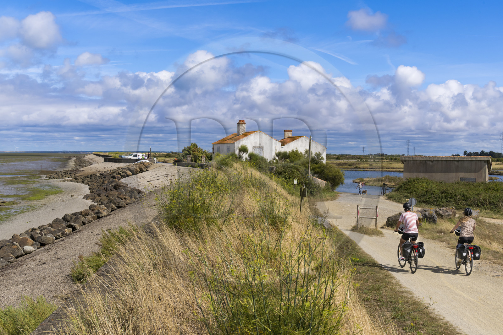 France, Vendée (85), île de Noirmoutier, Barbatre, cyclistes sur la piste cyclable qui suit la digue entre le Port de Bonhomme et le passage du Gois