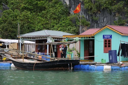 Vietnam, province de Quang Ninh, la Baie d'Halong classée Patrimoine Mondial de l'UNESCO, village flottant de pêcheurs de Vong Vieng