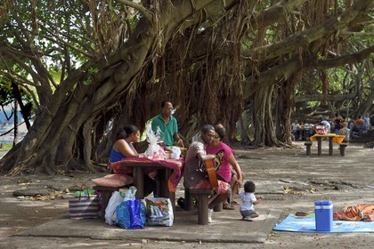 France, Ile de la Reunion, Grand Bois, pic-nic du dimanche sous les arbres