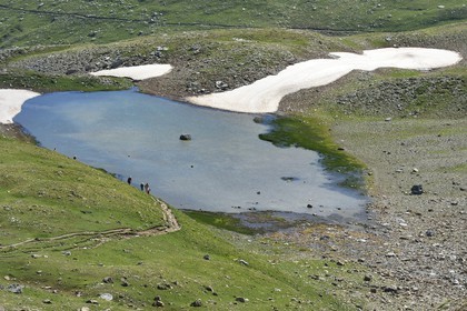 France, Alpes de Haute Provence, Uvernet Fours, Mercantour National Park, Ubaye valley, Cayolle pass (2326 m), hiking trail that climbs through the alpine lawn on the lake tour