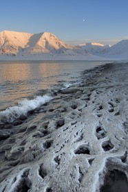 Norvège, Svalbard, Spitzberg, Longyearbyen, Adventfjorden, dentelle d'eau salée glacée