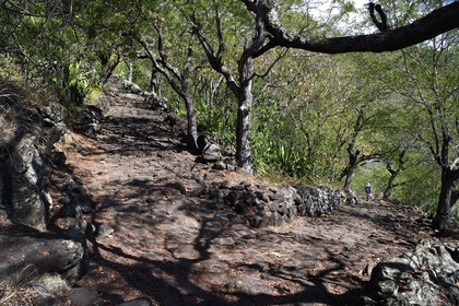 France, Ile de la Reunion, La Possession, ravine de la Grande Chaloupe, le chemin Crémont aussi appelé chemin des Anglais, ancienne route pavé de basalte depuis 1775 qui longe le bord de la falaise de la cote nord-ouest devenu sentier de randonnée