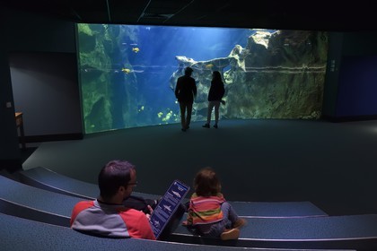 France, Charente-Maritime, La Rochelle, Aquarium La Rochelle, Compulsory Mention, the shark tank