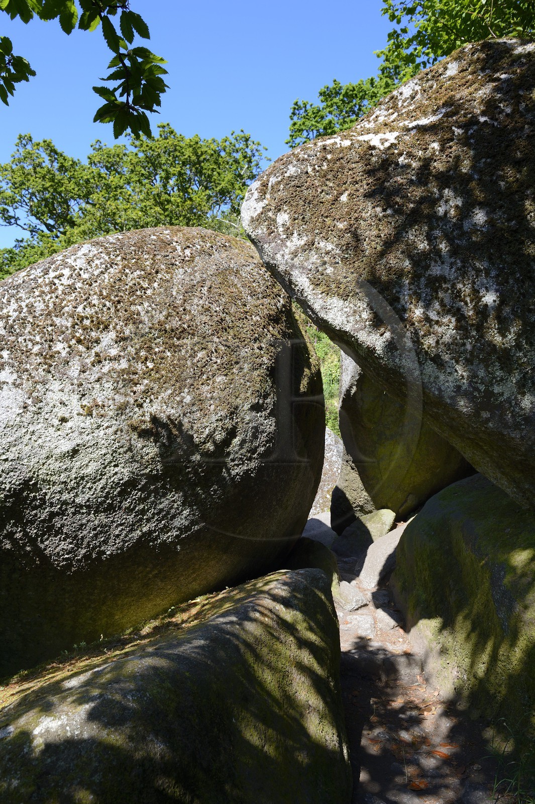 France, Finistere, Parc Naturel Regional d'Armorique (Armorique Natural Regional Park), Huelgoat, granitic chaos of the Huelgoat forest