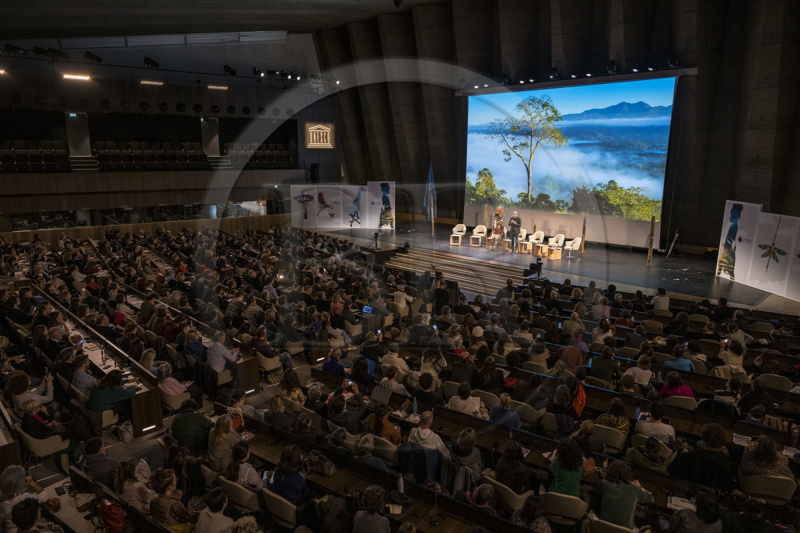 France, Paris (75), siège de l'UNESCO, conférence à l'Université de la Terre du 25 novembre 2022, le chef Papou Mundiya Kepanga
