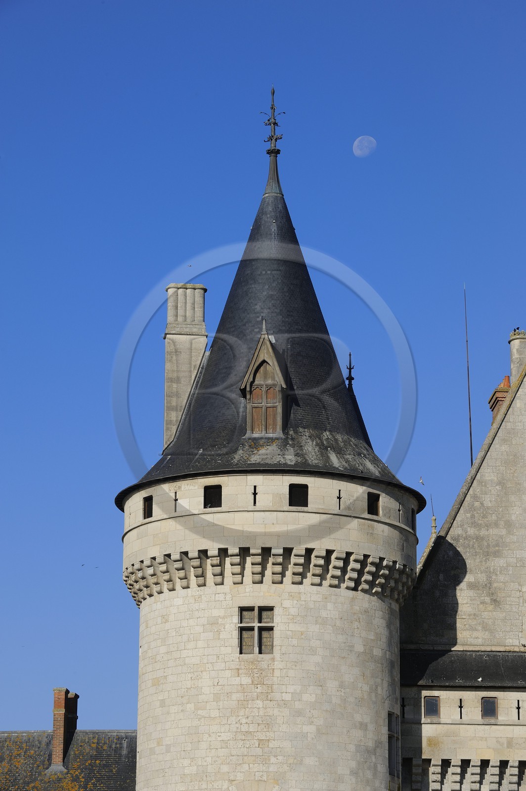 France, Loiret, Loire Valley listed as World Heritage by UNESCO, Sully sur Loire, Chateau de Sully sur Loire, compulsory mention : Chateaux de Sully sur Loire, property of the Loiret Departement